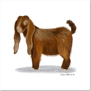 Damascus Goat Posters and Art